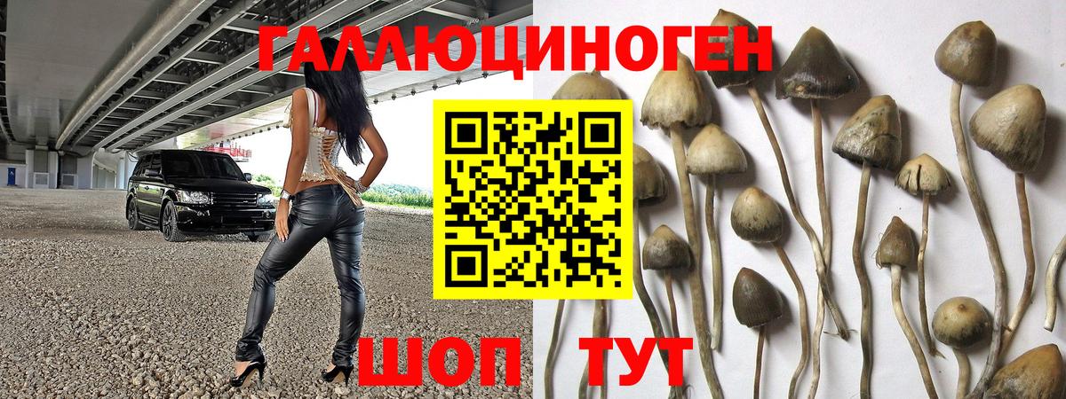 Галлюциногенные грибы мухоморы  Псилоцибиновые грибы MAGIC MUSHROOMS  Вход с VPN  Воткинск 
